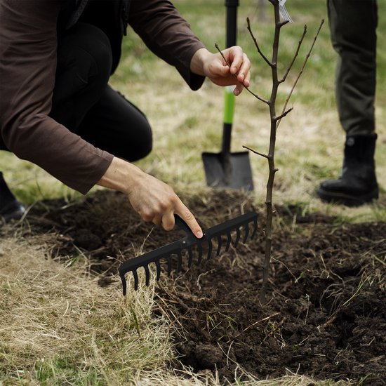 KADAX Tuinhark zonder steel, tuinhark van metaal, gazonhark voor tuinonderhoud, robuuste gazonhark, hark voor gazon, tuingereedschap (rechthoekig, 16 tanden) van Merkloos	 — afbeelding 4