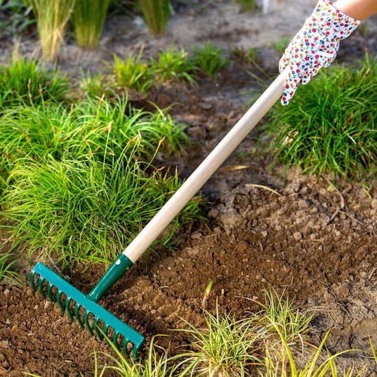 KADAX Hark van metaal, platte hark met steel van hout, bladbezem voor tuin, bloembed, bladbreken, gazonhark, groen, tuingereedschap, hooikoork, tuingereedschap, hark (12 tanden) van Merkloos	 — afbeelding 2