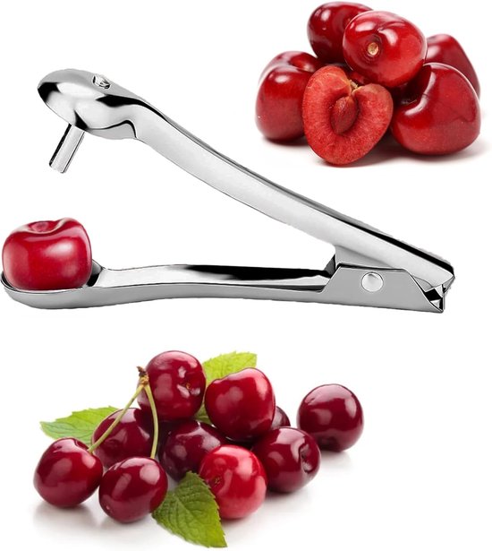 Dénoyauteur à fruits en acier inoxydable - Pour cerises, olives et jujubes séchés - Dénoyauteur pour la Cuisine et la Ménage