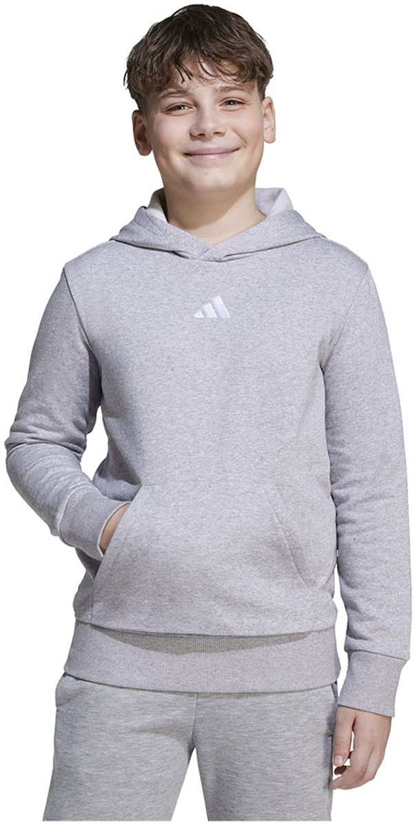 Adidas Essentials Hoodie 15-16 Years Jongens Meisjes Grijs