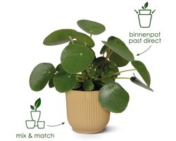 Elho Vibes Fold Rond 47 - Grote Bloempot voor Binnen - 100% gerecycled plastic - Ø 47 x H 43.6 - Linen white