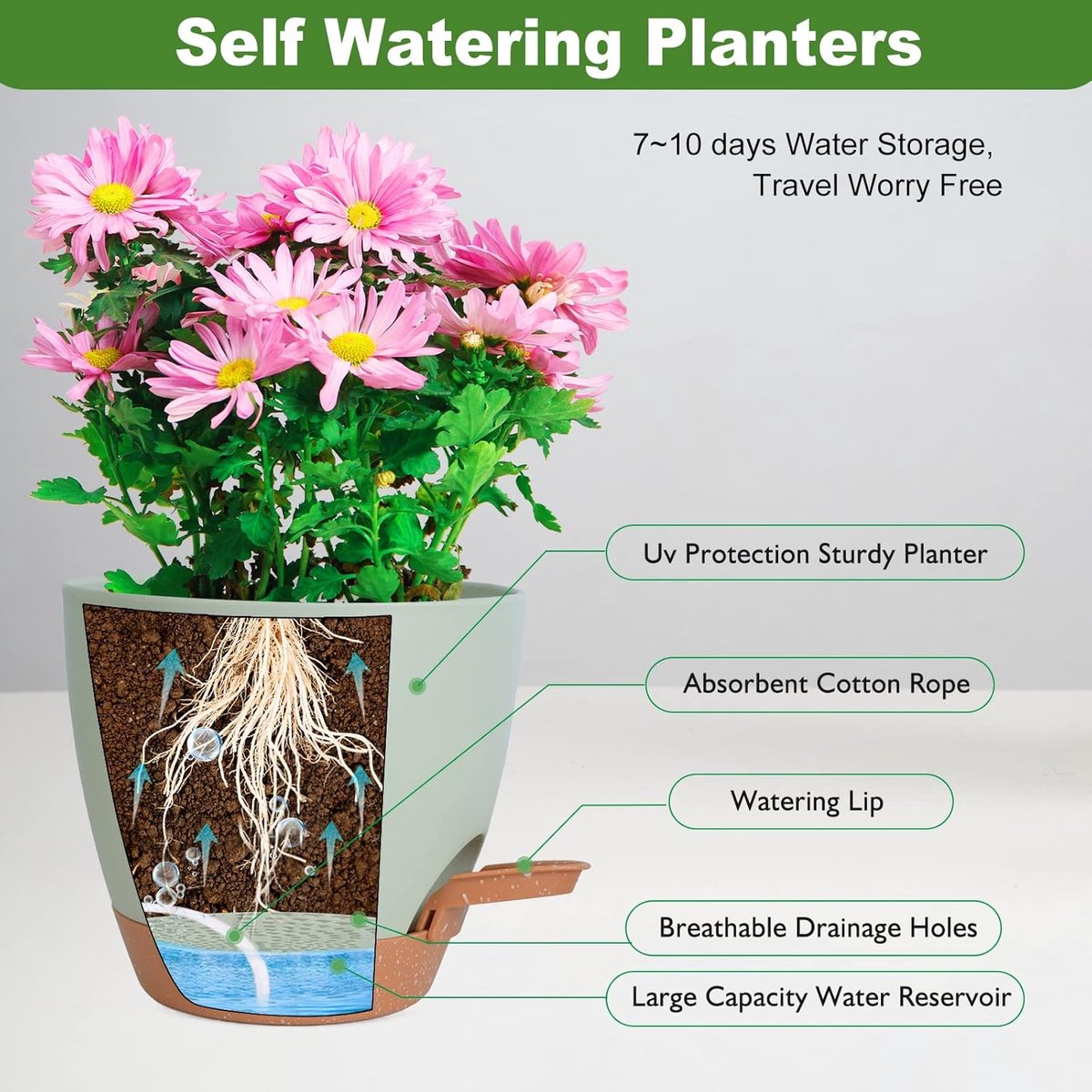Bloempotten voor binnen, 7/6,5/6/5,5/5 inch, zelfwaterende plantenbakken met drainagegat, plastic bloempotten voor vetplanten, Afrikaans viooltje (groen) — cadeau in Wonen & Interieur - foto 3