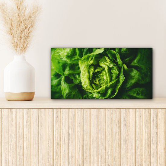 Tableau sur toile 40x20 cm - Décoration murale exclusive Légume - Laitue - Vert - Décoration murale salon - Décoration chambre - Accessoires chambre - Peintures sur toile