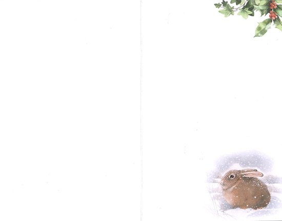 Binnenkant van een nieuwjaarskaart met een klein konijn in de sneeuw.