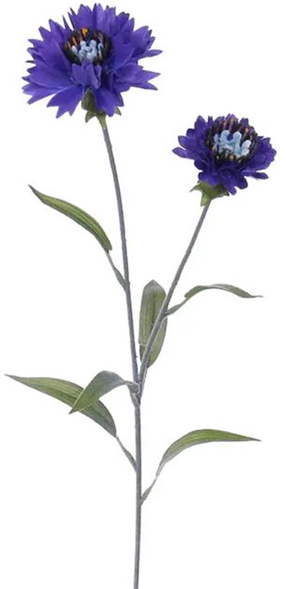 Buitengewoon de boet - Kunst korenbloem blauw, 73 cm