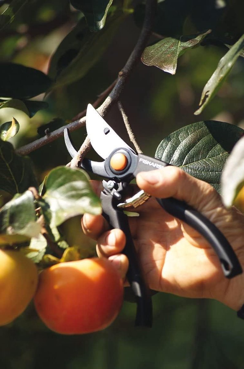 Fiskars Sécateur Pro P90 - 23 cm