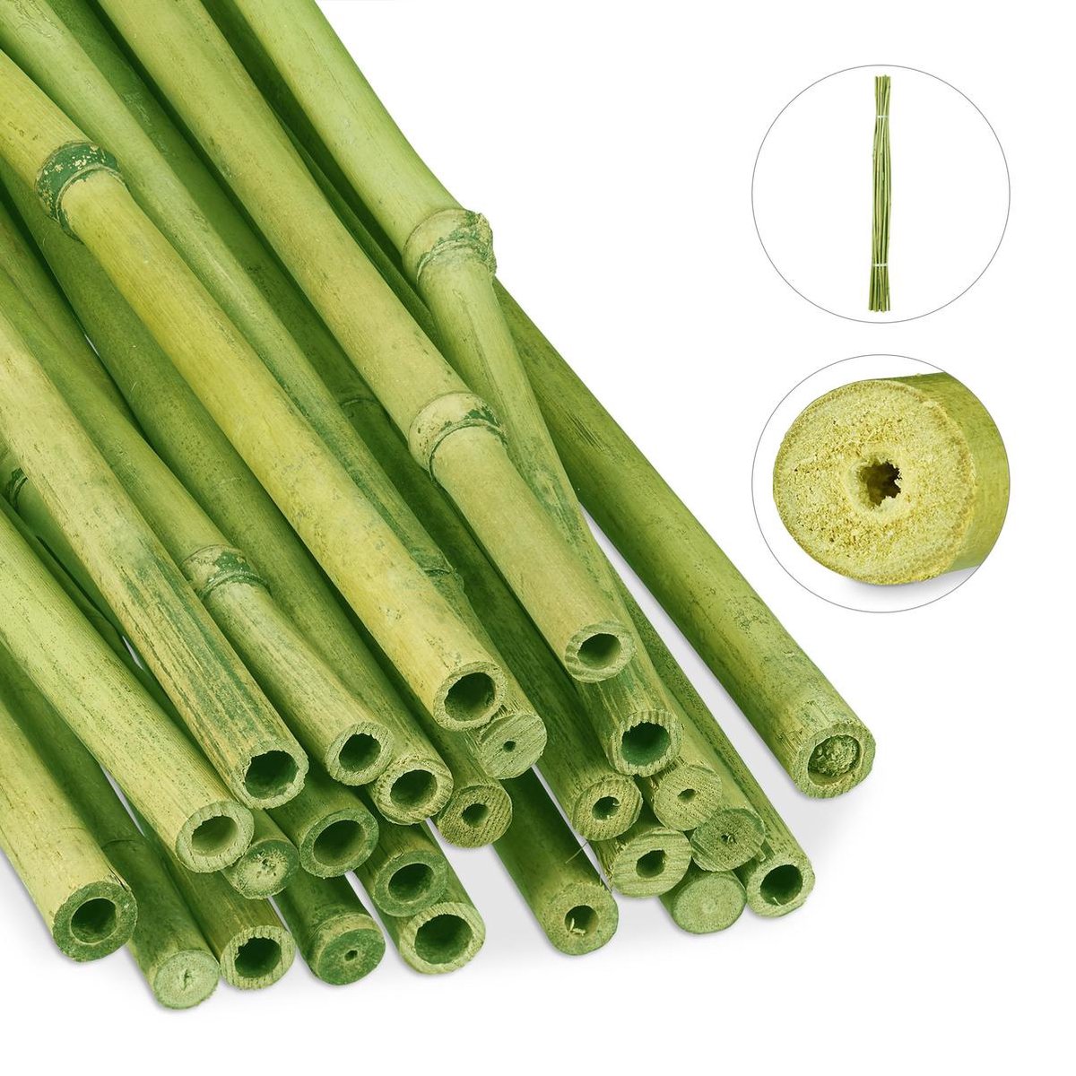 Relaxdays Bamboestokken - 150 cm - bamboe - tonkinstokken - tuin -  plantensteun - Naturel | bol.com
