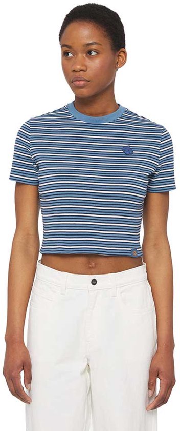Dickies Altoona Stripe T-shirt Met Korte Mouwen Blauw M Vrouw