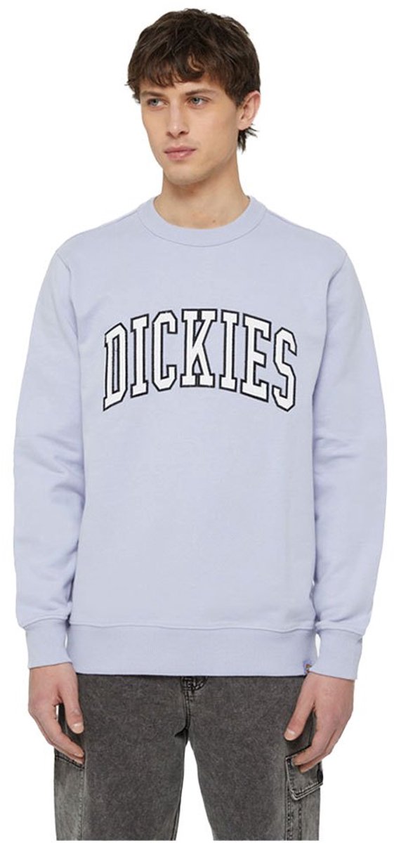 Dickies Aitkin Sweatshirt XL Man Cosmic Sky