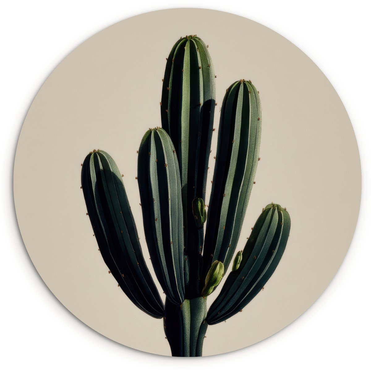 WallCircle Wandcirkel 90x90 cm - Muurcirkel Cactus - Subtiel - Groen - Muurdecoratie woonkamer - Wanddecoratie slaapkamer - Kamer decoratie accessoires - Ronde schilderijen