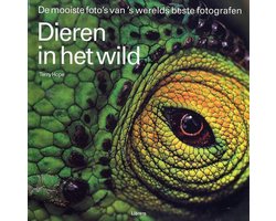 Dieren In Het Wild