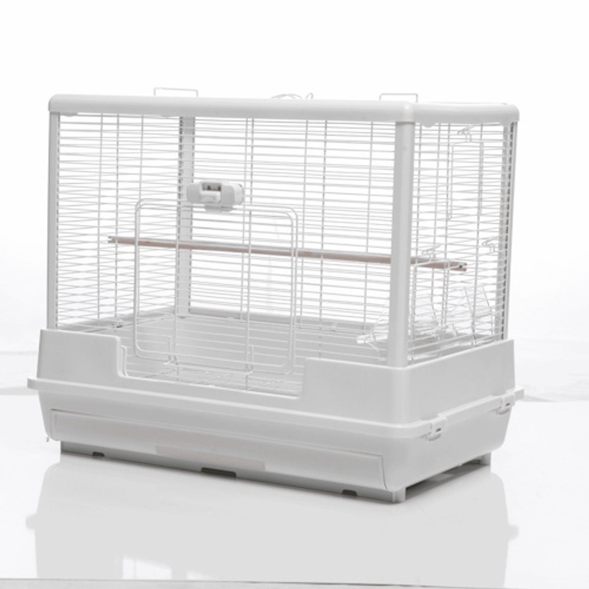 @Pet Vogelkooi Ceasar M Wit
