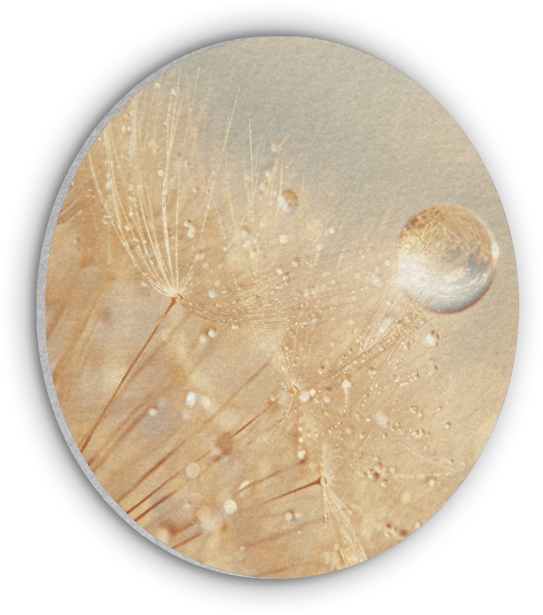 Akoestisch wandpaneel rond 30x30 cm - Vilt schilderij Paardenbloem - Water - Natuur - Planten - Modern - Ronde akoestische panelen - Geluidsdempende wanddecoratie - Geluidsisolatie wandcirkel - Muurdecoratie geluidspanelen
