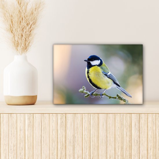 Toile - Peinture - Mésange charbonnière - Vogel - Branche - Mousse - Impression sur toile - Chambre à coucher - 30x20 cm - Intérieur - Décoration murale