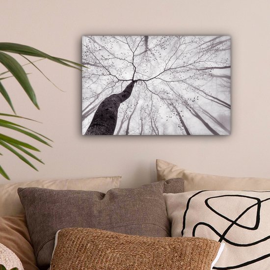 Peinture sur toile - Arbres - Brouillard - Nature - Forêt - Canvasdoek - Décoration murale - Photo sur toile - 30x20 cm - Peintures sur toile