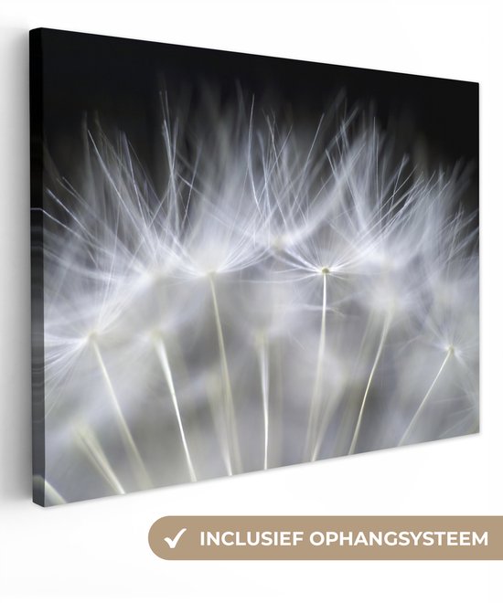 Peinture sur toile - Fleurs - Plantes - Graines - Wit - Canvasdoek - 160x120 cm - Photo sur toile - Peintures sur toile