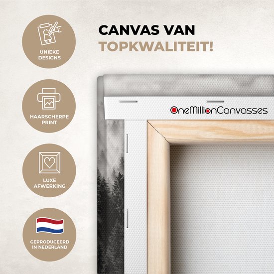 Peinture sur toile - Arbres - Brouillard - Forêt - Paysage - Peintures sur toile - 30x20 cm - Photo sur toile - Canvasdoek