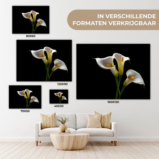 Canvas schilderij 80x60 cm - Wanddecoratie Planten - Bloemen - Wit - Natuur - Botanisch - Muurdecoratie woonkamer - Slaapkamer decoratie - Kamer accessoires - Schilderijen op canvas