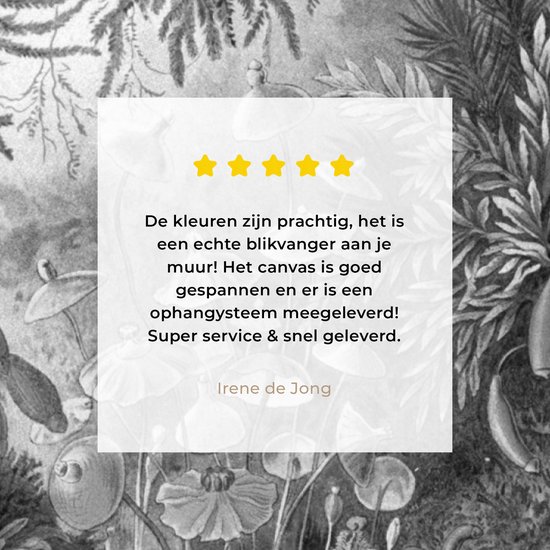 Oeuvre de Peinture sur Toile - Maîtres Anciens - Cadres - Or - 90x60 cm - Art Décoration murale