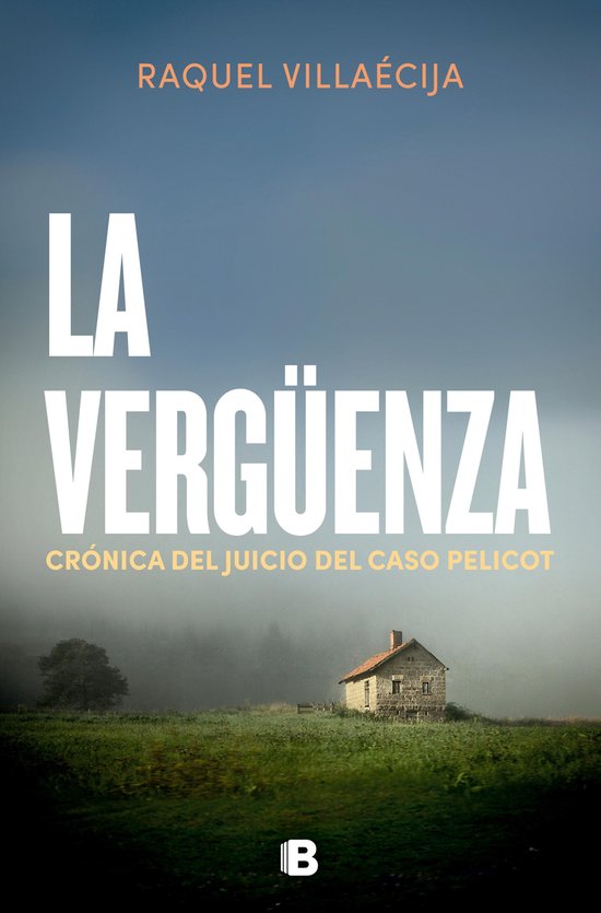 La vergüenza - cover