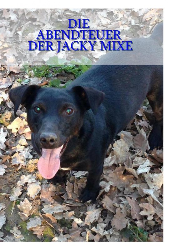 Die Abenteuer der Jacky Mixe - cover