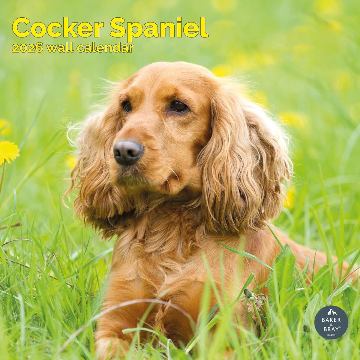 Engelse Cocker Spaniel Kalender 2027