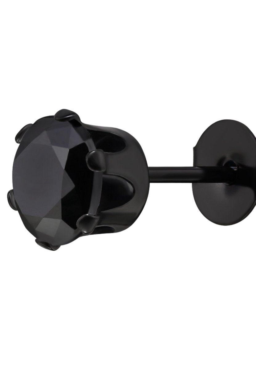 Ronde 6 mm Oorstekers van Roestvrij Staal met Zirkonia