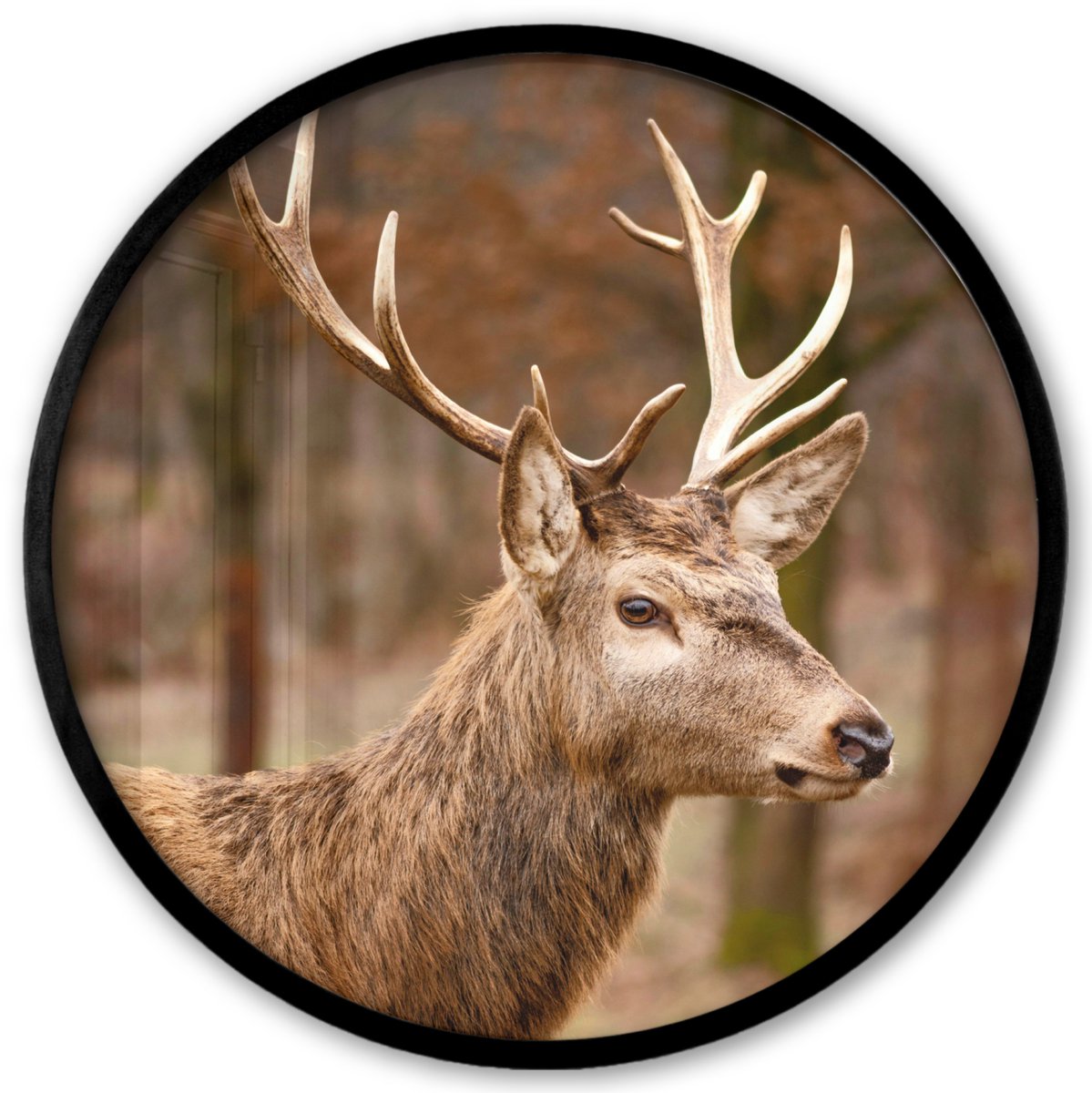 FrameYourWall Poster in lijst Rond - Fotolijst 40x40 cm - Posters - Hert - Dier - Bos - Herfst - Hertenkop - Bruin - Natuur - Ronde posterlijst zwart - Decoratie - Wanddecoratie woonkamer - Muurdecoratie slaapkamer