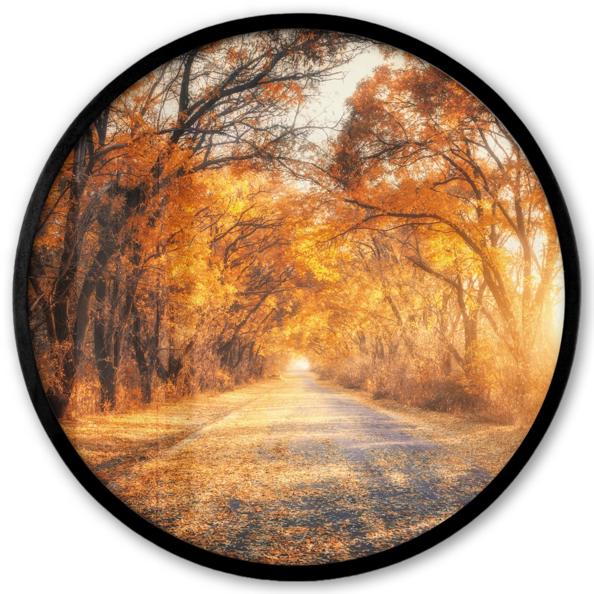 FrameYourWall Poster in lijst Rond - Fotolijst 40x40 cm - Posters - Bos - Herfst - Bomen - Bospad - Natuur - Ronde posterlijst zwart - Decoratie - Wanddecoratie woonkamer - Muurdecoratie slaapkamer Oranje