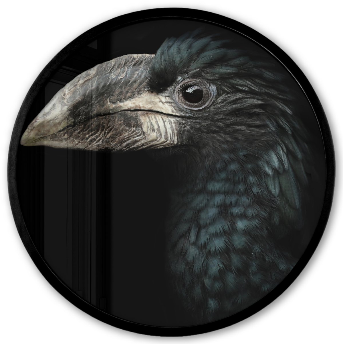 FrameYourWall Poster in lijst Rond - Fotolijst 40x40 cm - Posters - Vogel - Portret - Neushoornvogel - Zwart - Dieren - Ronde posterlijst zwart - Decoratie - Wanddecoratie woonkamer - Muurdecoratie slaapkamer Multicolor