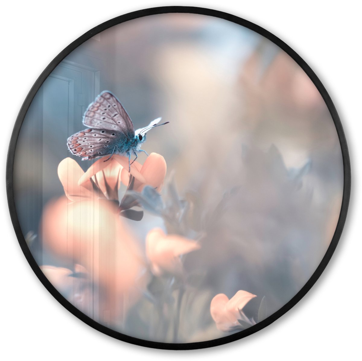 FrameYourWall Poster in lijst Rond - Fotolijst 60x60 cm - Posters - Bloemen - Vlinder - Natuur - Botanisch - Ronde posterlijst zwart - Decoratie - Wanddecoratie woonkamer - Muurdecoratie slaapkamer Multicolor