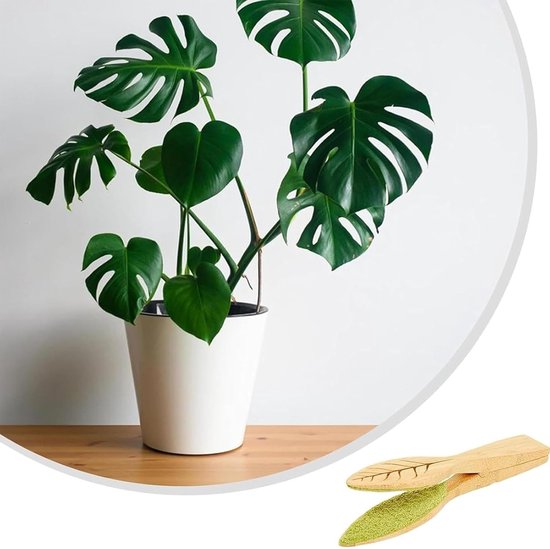 1 x Reinigingsborsteltjes rager - Bodemreinigers - Handmatige Groene Planten Borstel - met Ergonomisch Handvat - voor binnen、 buitentuinen(24 x 4cm) — afbeelding 3
