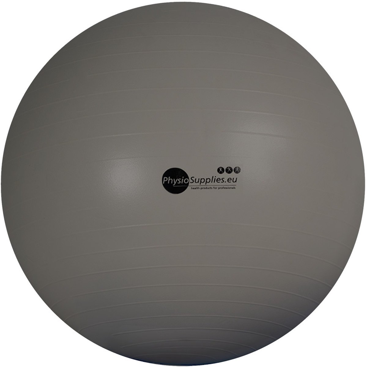 FysioSupplies - PHYSIO Fitball GO 75 cm – Grijs - Fitballen