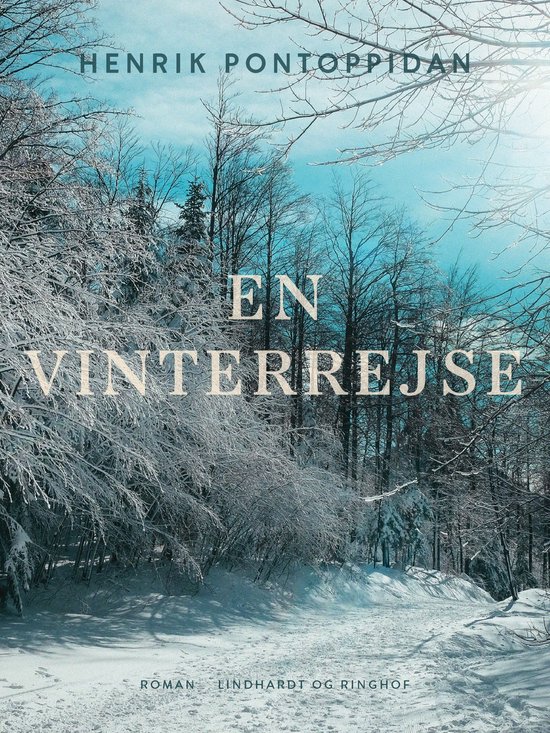 En vinterrejse - cover