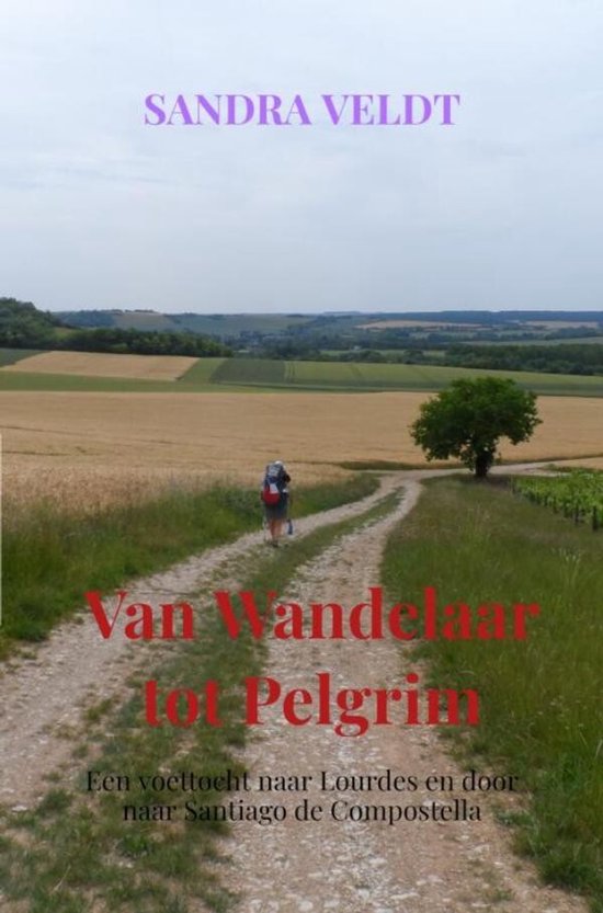 Van Wandelaar tot Pelgrim - cover