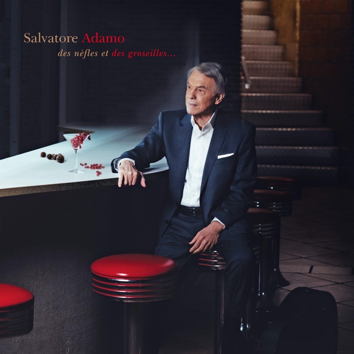 Salvatore Adamo - Des Nèfles Et Des Groseilles... (2 CD)