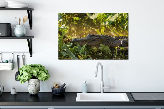 Alligator américain en toile nature 2cm 60x40 cm - Tirage photo sur toile (Décoration murale salon / chambre)