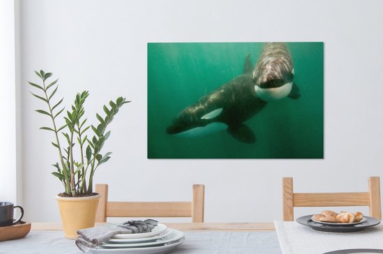 Deux Orcas dans la toile de l' eau 2cm 60x40 cm - impression photo sur toile peinture (Décoration murale salon / chambre à coucher) / Animaux sauvages Peintures Toile