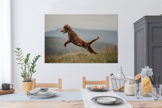 Caniche marron saute dans les airs 120x80 cm - Tirage photo sur toile (Décoration murale salon / chambre) / Peintures sur toile Animaux domestiques