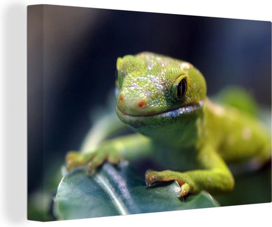 Canvas Schilderij Groene gekko op een blad - 60x40 cm - Wanddecoratie