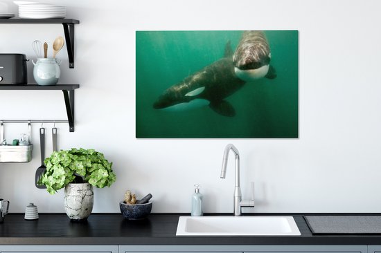 Deux Orcas dans la toile de l' eau 2cm 60x40 cm - impression photo sur toile peinture (Décoration murale salon / chambre à coucher) / Animaux sauvages Peintures Toile