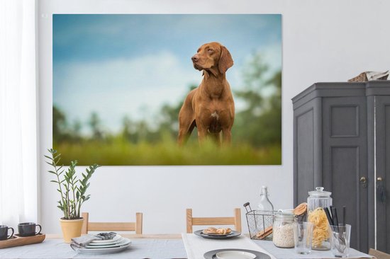 Canvas schilderij 180x120 cm - Wanddecoratie Hond die wegkijkt - Muurdecoratie woonkamer - Slaapkamer decoratie - Kamer accessoires - Schilderijen