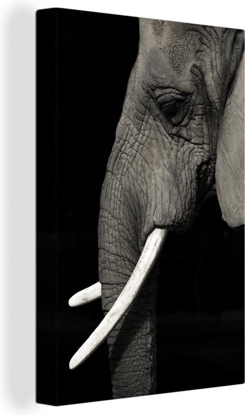 Tableau Toile Éléphant - Animal - Défense - 60x90 cm - Décoration murale