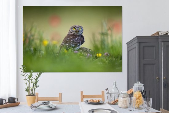 Chouette assise sur un rocher dans un champ 180x120 cm - Tirage photo sur toile (Décoration murale salon / chambre) XXL / Groot format!