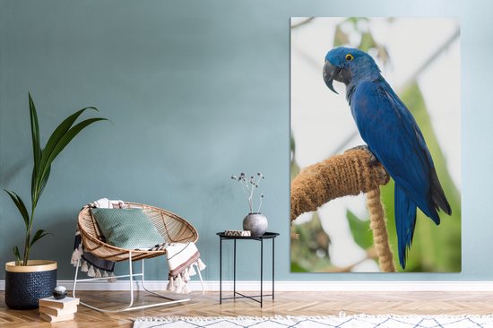 Ara hyacinthe sur toile bâton 2cm 120x180 cm - Tirage photo sur toile (Décoration murale salon / chambre) XXL / Groot format!