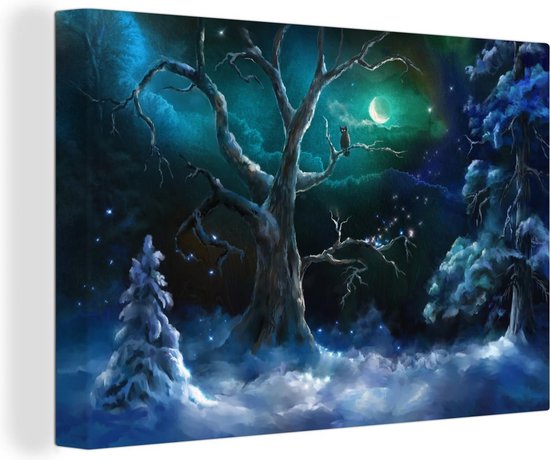 Canvas Schilderij Uil - Sneeuw - Maan - 60x40 cm - Wanddecoratie