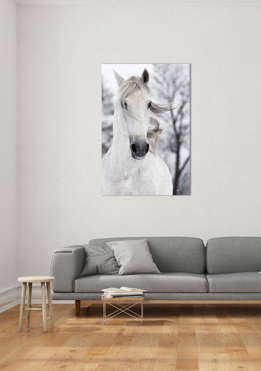 Fine Asianliving Wit Paard In De Wind Digitale Print 80x120cm Veiligheids Glas