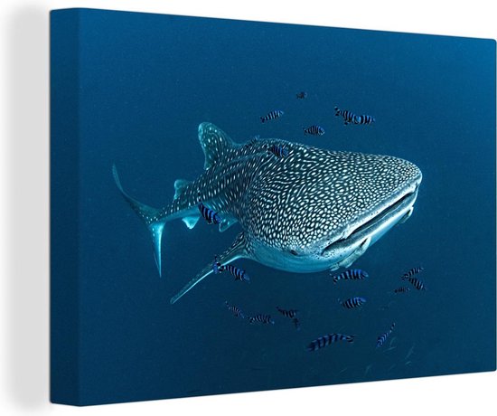 Tableau sur toile Un requin baleine à pois - 150x100 cm - Décoration murale