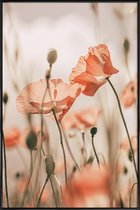 JUNIQE - Poster met kunststof lijst Sunkissed Flowers 1 -13x18 /Grijs