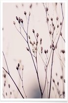 JUNIQE - Poster Wild Flower Pastel 3A Beige -40x60 /Bruin & Ivoor